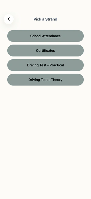 Education Strands: School Attendance, Certificates and Driving Tests