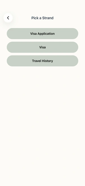 Travel Strands: Visa Application, Visa and Travel History