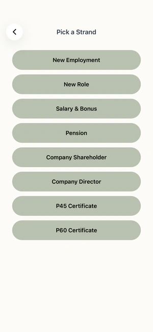 Work Strands: New Employment, Salary & Bonus, Pension, P45 and P60 and more